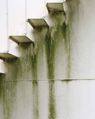 Perma White Exterior Satin - 2.5 Litre