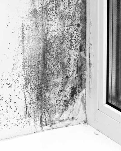 Perma White Interior Eggshell - 1 Litre