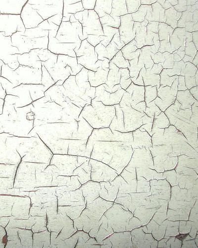 Peel Stop Clear Binding Primer - 5 Litre